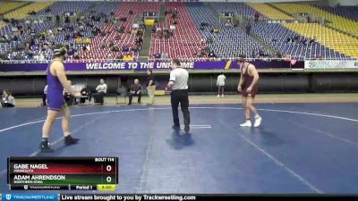 197 lbs Cons. Semi - Adam Ahrendson, Northern Iowa vs Gabe Nagel, Minnesota