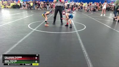 48 lbs Finals (2 Team) - Brex Taylor, Ohio Gold 10k vs Callahan Tucker, Donahue WA Black