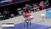 Bryan Woffinden - Pommel Horse, Thornton's Gym - 2021 US Championships