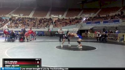 D4-113 lbs Cons. Round 2 - Nico Molina, San Manuel Jr. Sr. vs Trent Nelson, Morenci Jr./Sr.