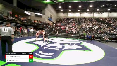 215 lbs Cons. Round 1 - Luke LaMarr, Viewmont vs Ronald Nelson, Timpview