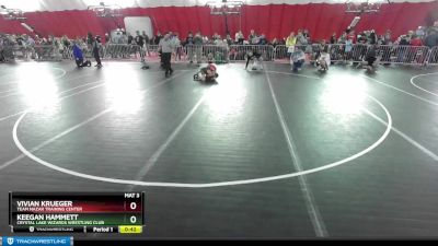 84-92 lbs Round 1 - Vivian Krueger, Team Nazar Training Center vs Keegan Hammett, Crystal Lake Wizards Wrestling Club