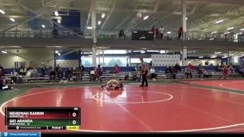 65 lbs Placement Matches (8 Team) - Nehemiah Rankin, Barberton vs Gio Aranda, Perrysburg