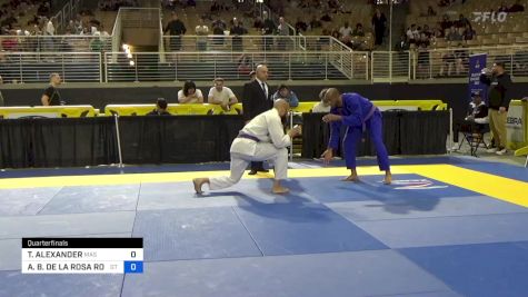 TRISTAN ALEXANDER vs ALDO B. DE LA ROSA RONDON 2024 Pan Jiu Jitsu IBJJF Championship