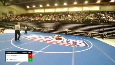 157 lbs 3rd Place Match - Cole Andersen, Spanish Fork vs Hixon Canto, Maple Mountain