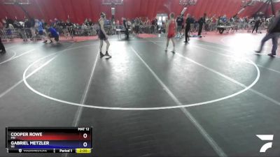 145 lbs Quarterfinal - Cooper Rowe, MN vs Gabriel Metzler, WI