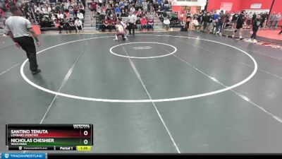 157 lbs Semifinal - Santino Tenuta, Lombard (MONTINI) vs Nicholas Cheshier, WAUCONDA