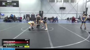 92 lbs Finals (2 Team) - Chase Sukanick, PA Alliance Blue vs Austin Bernash, Vougars Honors