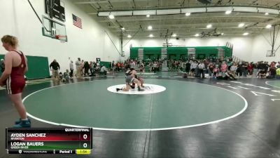 175 lbs Quarterfinal - Logan Bauers, Green River vs Ayden Sanchez, Riverton