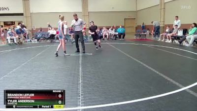 96 lbs Round 1 - Tyler Anderson, Ironclad vs Brandon Lefler, Darkhorse Wrestling