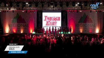 Indiana Elite - Wild [2024 L1.1 Youth - PREP Day 1] 2024 The Midwest Regional Summit