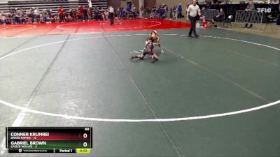 60 lbs Semis (4 Team) - Gabriel Brown, LPGE/B Wolves vs Conner Krumrei, Grand Rapids