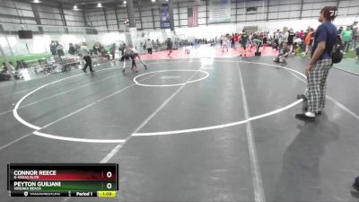 132 lbs Semifinal - Connor Reece, K-VEGAS ELITE vs Peyton Guiliani, Virginia Beach