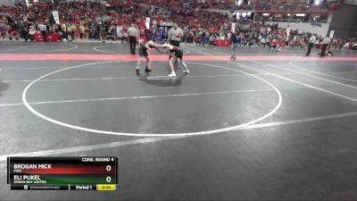 125 lbs Cons. Round 4 - Brogan Mick, FWA vs Eli Pukel, Green Bay United