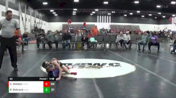 65 lbs Placement Matches (8 Team) - Reese Babcock, Illinois Menace vs Xander Webber, Beast Mode