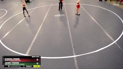 67 lbs Semifinal - Asher Steinke, Owatonna Wrestling Academy vs Aurora Priebe, MN Elite Wrestling Club