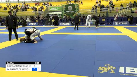 PABLO SEBASTIAN ECHAZU BLOSER vs WELLYTON BORGES DE MENEZES 2024 Brasileiro Jiu-Jitsu IBJJF