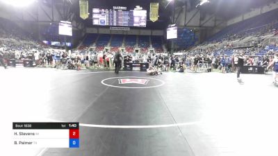 132 lbs Cons 32 #1 - Hunter Stevens, Wisconsin vs Bryce Palmer, Texas