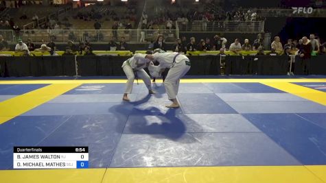 BRADLEY JAMES WALTON vs OLANDIS MICHAEL MATHES 2024 Pan Jiu Jitsu IBJJF Championship