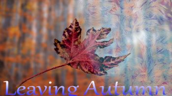 Gulfport Percussion - Leaving Autumn