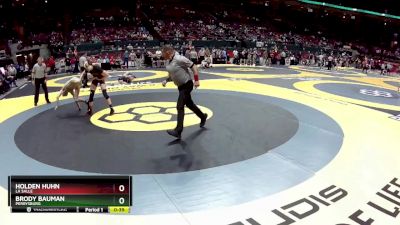 D1-138 lbs Cons. Round 2 - Holden Huhn, La Salle vs Brody Bauman, Perrysburg