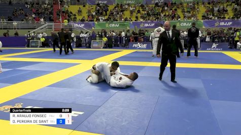 RODRIGO ARAUJO FONSECA vs DIEGO PEREIRA DE SANTANA 2024 Brasileiro Jiu-Jitsu IBJJF