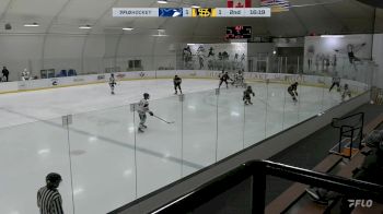 Replay: Home - 2024 PCHA vs Shawnigan | Feb 9 @ 7 PM