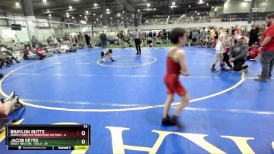 75 lbs Finals (2 Team) - Jacob Keyes, GREAT NECK WC - GOLD vs Braylon Butts, NORTH CAROLINA WRESTLING FACTORY