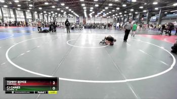 84 lbs Rd# 4- 2:00pm Friday Final Pool - Cj Caines, Olympia vs Tommy Boyce, Scorpions