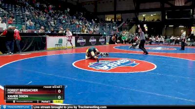 6A-106 lbs Champ. Round 1 - Forest Briesacher, Marist School vs Xavier Dixon, Northside