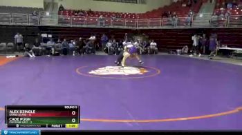 152 lbs Round 5 (8 Team) - Alex Dzingle, Grand Island vs Cade Pugh, Cheyenne East