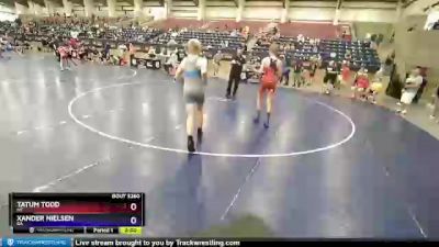 125 lbs Cons. Round 4 - Tatum Todd, MT vs Xander Nielsen, GA