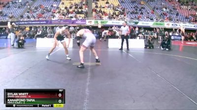 157 lbs Semis & 3rd Wb (16 Team) - Dylan Whitt, Grand View (Iowa) vs Kanaipono Tapia, Menlo (Calif.)