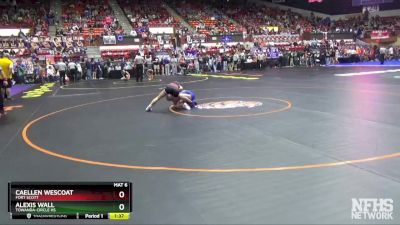 100 lbs Quarterfinal - Caellen Wescoat, Fort Scott vs Alexis Wall, Towanda-Circle HS