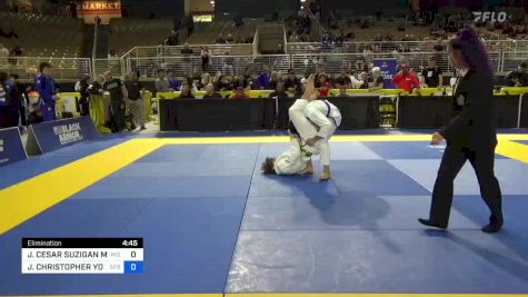 JULIO CESAR SUZIGAN MARTINS vs JAKE CHRISTOPHER YOUNG 2024 Pan Jiu Jitsu IBJJF Championship