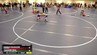 67 lbs Champ. Round 1 - Charlie Staudacher, Minnesota vs Theodore Cruz, Wayzata Youth Wrestling