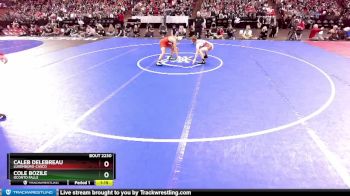 D2-138 lbs 1st Place Match - Caleb Delebreau, Luxemburg-Casco vs Cole Bozile, Oconto Falls