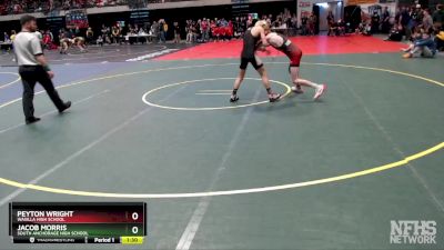 125 lbs Quarterfinal - PEYTON WRIGHT, Wasilla High School vs Jacob Morris, South Anchorage High School