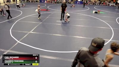 60 lbs Round 3 (4 Team) - Cael Richards, Lakeville vs Maverick Masching, Westfield