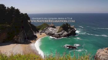 Replay: home - 2025 adam-webrtc-test-20251127 | Nov 27 @ 2 PM