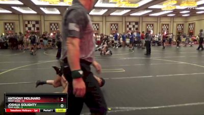 95 lbs Semis & 1st Wrestleback (8 Team) - Anthony Molinaro, Frost Gang vs Joshua Golighty, Team Alien