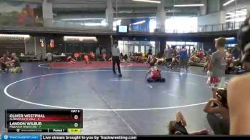 65 lbs Round 4 (10 Team) - Landon Wilbur, Predator Wrestling vs Oliver Westphal, Alabama Elite Gold