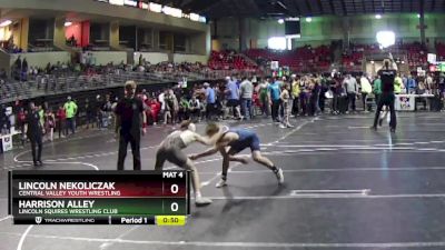 125 lbs Cons. Semi - Harrison Alley, Lincoln Squires Wrestling Club vs Lincoln Nekoliczak, Central Valley Youth Wrestling