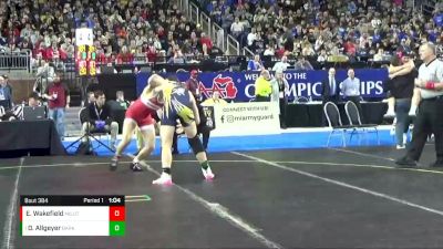 D4-190 lbs 1st Place Match - Drew Allgeyer, Bark River-Harris HS vs Evan Wakefield, Michigan Lutheran Seminary