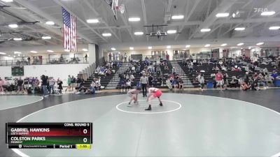 120 lbs Cons. Round 5 - Gabriel Hawkins, Lee`s Summit vs Colston Parks, MoWest