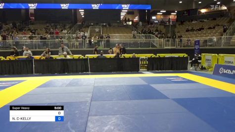 MICHELLE AUXILIADORA SALAS vs ANDREA LAVINA 2024 Pan Jiu Jitsu IBJJF Championship