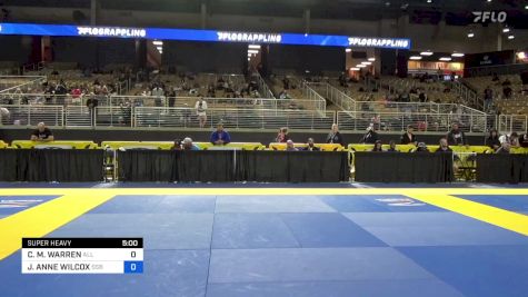 CHRISTINA M. WARREN vs JESSICA ANNE WILCOX 2024 Pan Jiu Jitsu IBJJF Championship