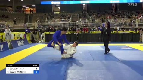 FELIPE GOULART vs ETHAN DAVID WONG 2024 Pan Jiu Jitsu IBJJF Championship