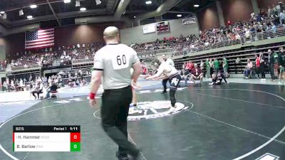 Quarterfinal - Hunter Hammer, Mountain Crest vs Braydon Barlow, Pine View