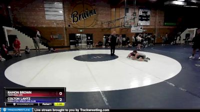 74 lbs Round 3 - Ramon Brown, Team Real Life vs Colton Lantz, Middleton Wrestling Club